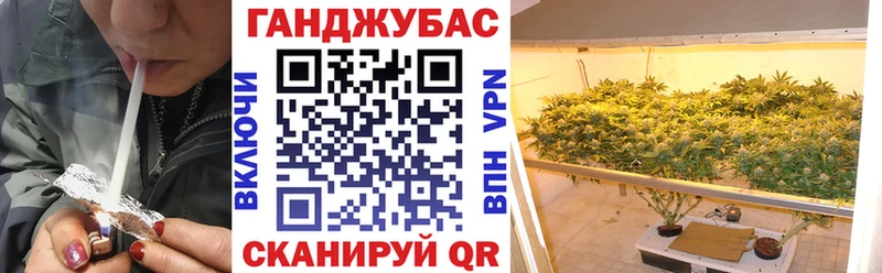 Каннабис Amnesia  Лихославль 
